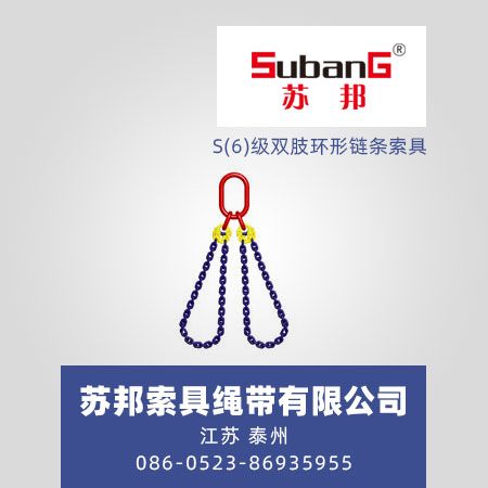 S(6)级双肢环形链条索具